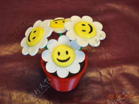 笑脸的花卉和花盆