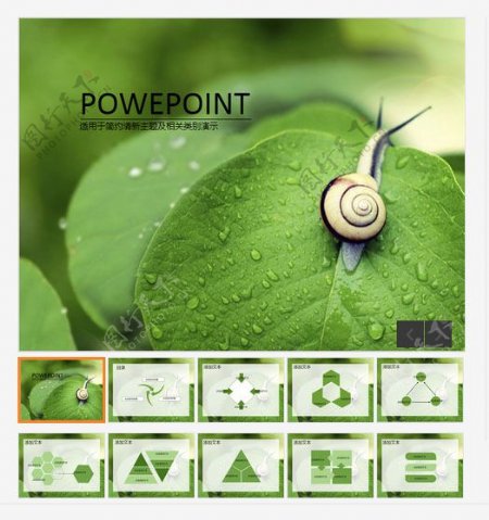 蜗牛与绿叶主题自然和谐PPT模板