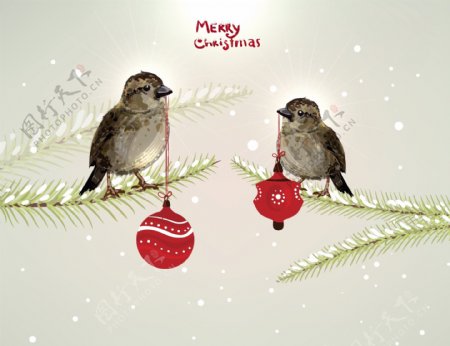 爱情小鸟圣诞节背景图片