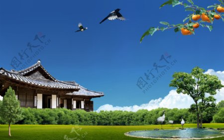 韩式自然背景房子