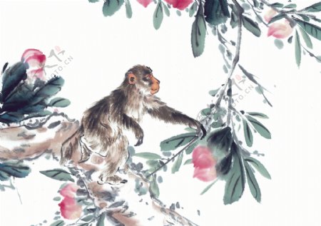 猴子爬树图