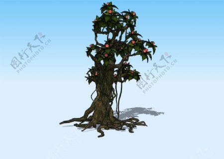 果树3D模型