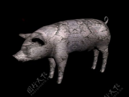 猪模型图