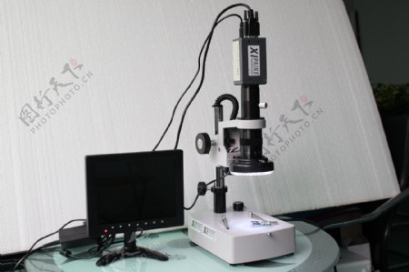 视频显微镜图片