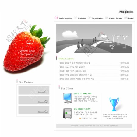 草莓网页素材
