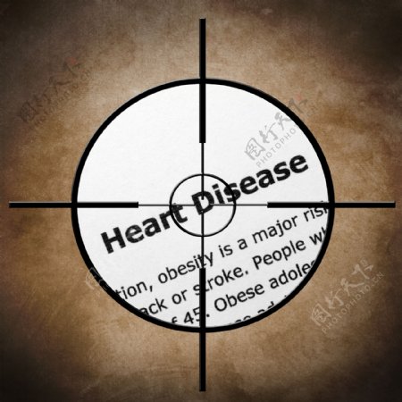 心脏病的目标概念