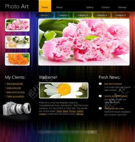 鲜花摄影网站模板