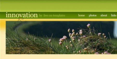 绿色植物研究信息网页模板