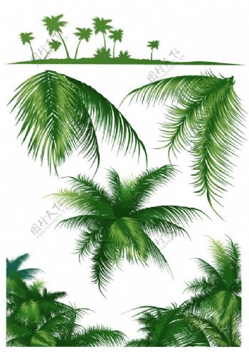 椰子树矢量图下载