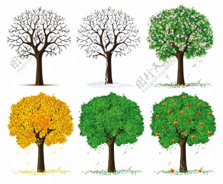四季的树木矢量素材下载