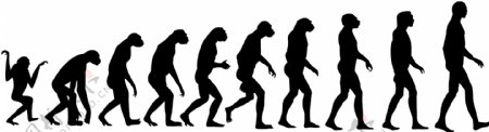 人类进化过程
