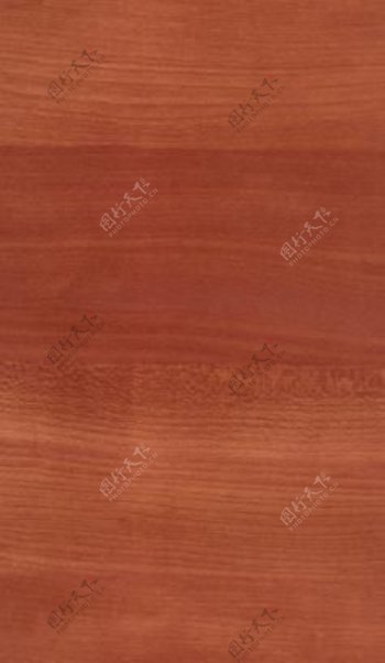 枫木49木纹木纹板材木质