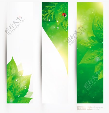 绿叶瓢虫绿色生态环保背景图片