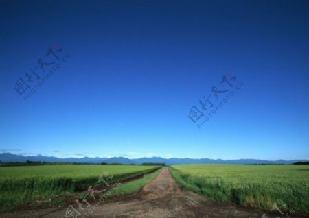 小路与天空