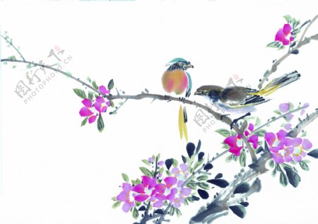 中国花鸟艺术喇叭花