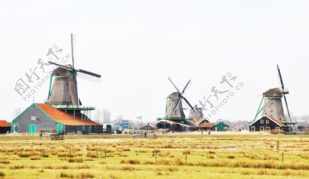 荷兰风车村图片