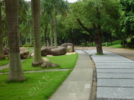 东莞中心广场公园风景