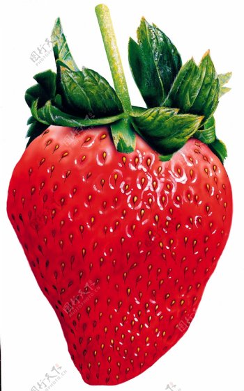 水果草莓特写