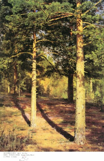 世界名画油画阳光照耀的松树林图片