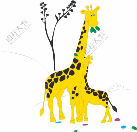 长颈鹿母子彩色图图片