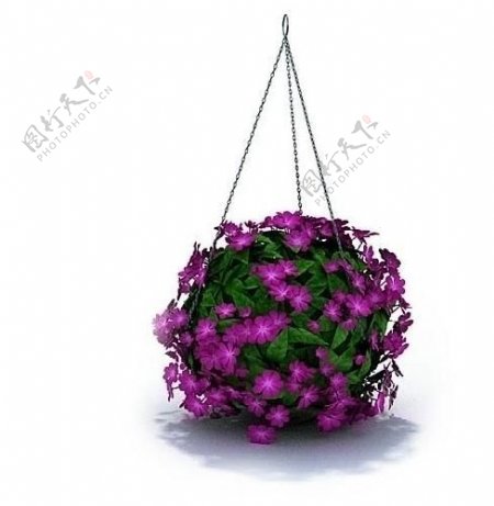 精美室内盆栽植物3d模型图片