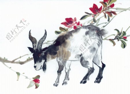 中华艺术绘画古画动物绘画羊中国古代绘画