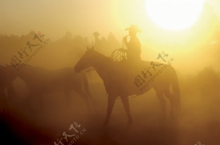浓雾中骑马的人