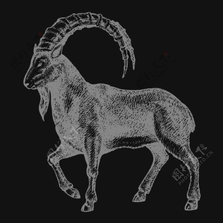 印花矢量图T恤图案动物羊色彩免费素材