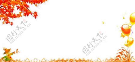 秋枫叶图片