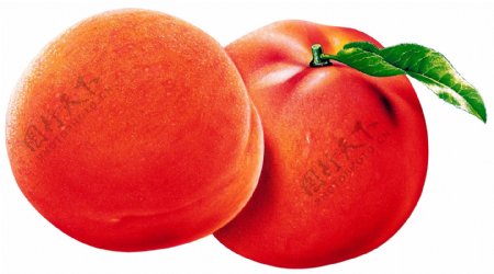 桃子水果水蜜桃图片