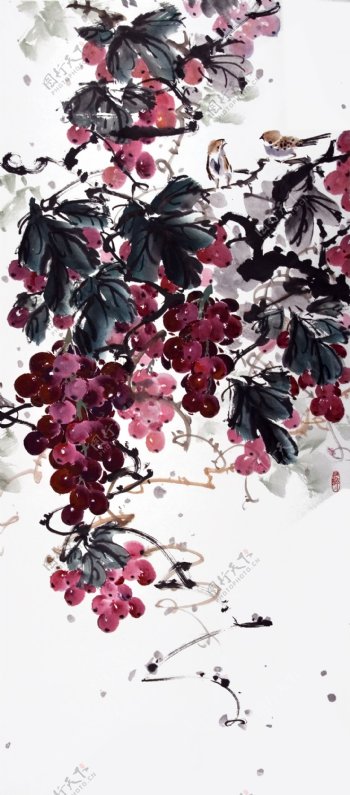 位图植物图案写意花卉葡萄超高清免费素材