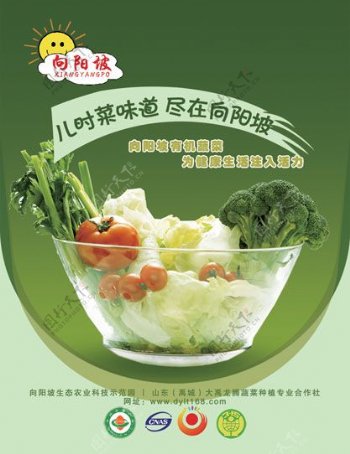 绿色蔬菜与健康