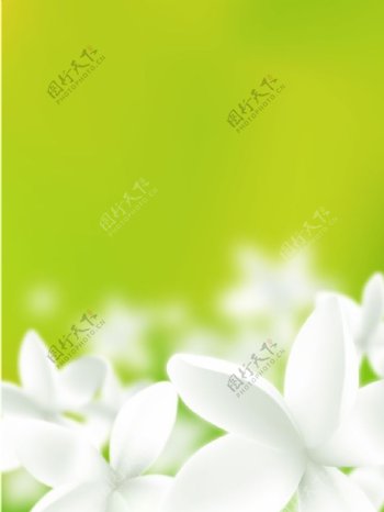 玻璃移门装饰图片绿色背景白色梦幻花朵