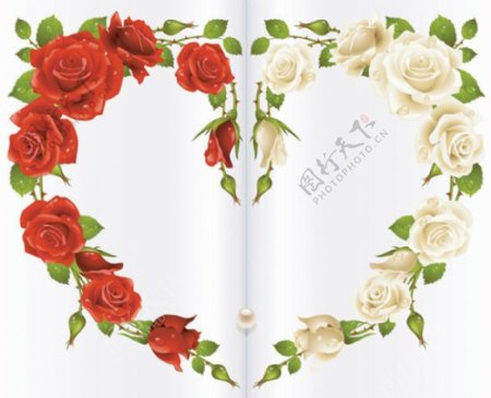 矢量红白玫瑰组成的心形卡片