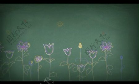 花朵背景视频素材图片