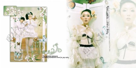 2009婚纱摄影模板