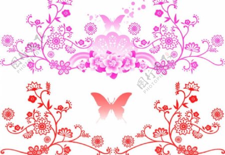 精美的花纹及蝴蝶笔刷图片