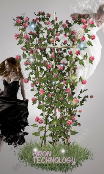 玫瑰花的盛开海报设计图片