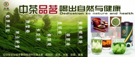 中茶品茗自然与健康图片
