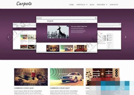 紫色大图动画商业网站整站模板