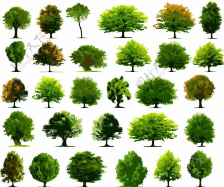 矢量插图30品种的树