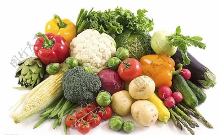 蔬菜集合高清图片素材1