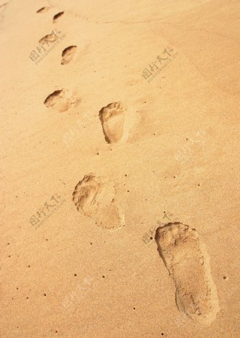 海滩的脚印图片