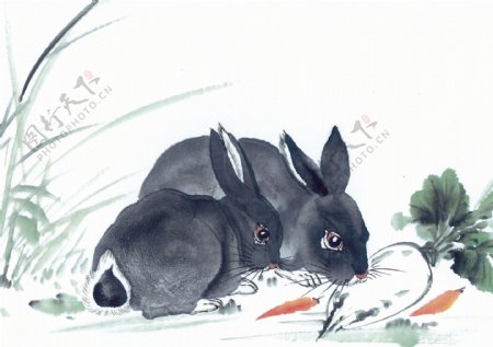中华艺术绘画古画动物绘画兔子中国古代绘画