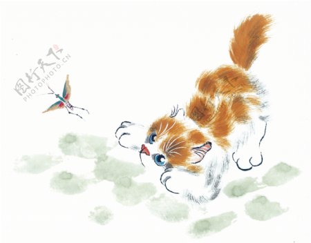 猫咪病猫小猫动物可爱家猫花猫中华艺术绘画