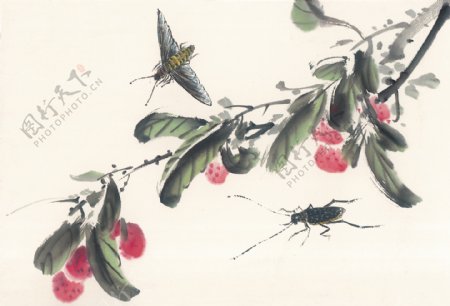 中华艺术绘画古画植物蔬菜中国古代绘画