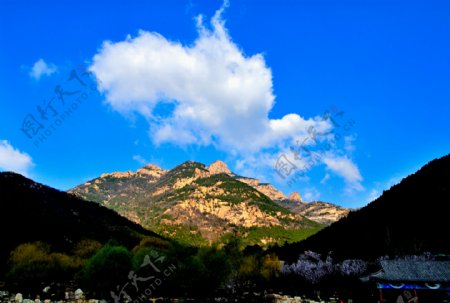 泰山风景图片