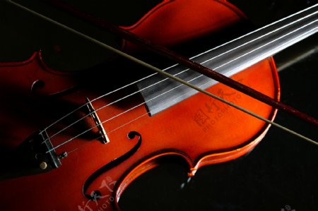 小提琴琴弓图片