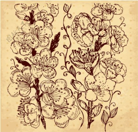 复古手绘花卉设计矢量素材