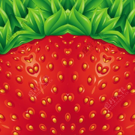 夏季草莓果肉特写矢量素材